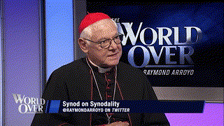 THE CARDINAL'S WARNING: A hostile takeover of the Catholic Church