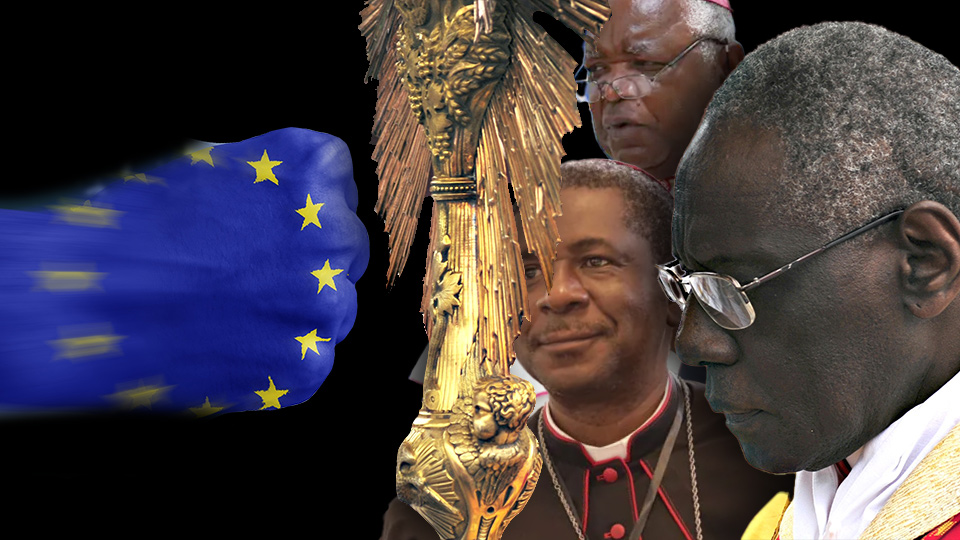 POPE FRANCIS II? Racist Globalists vs African Bishops