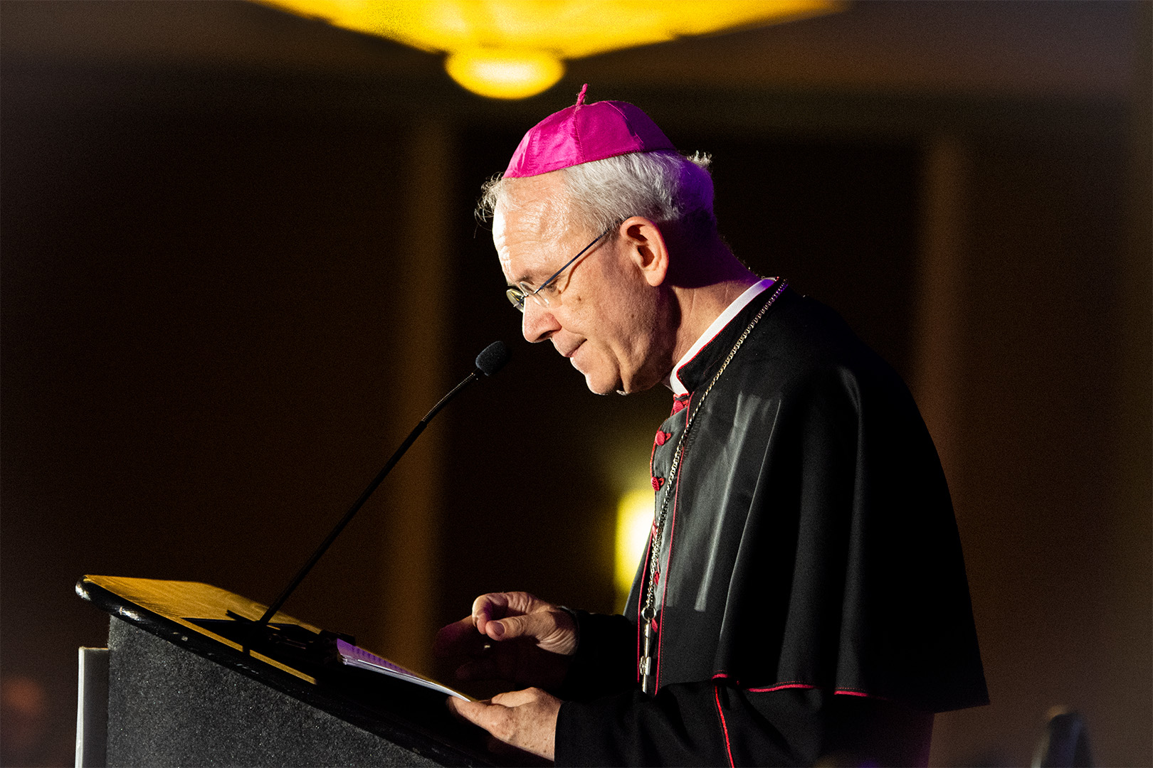 Bishop Schneider to Pope: “Divine Revelation forbids this.”